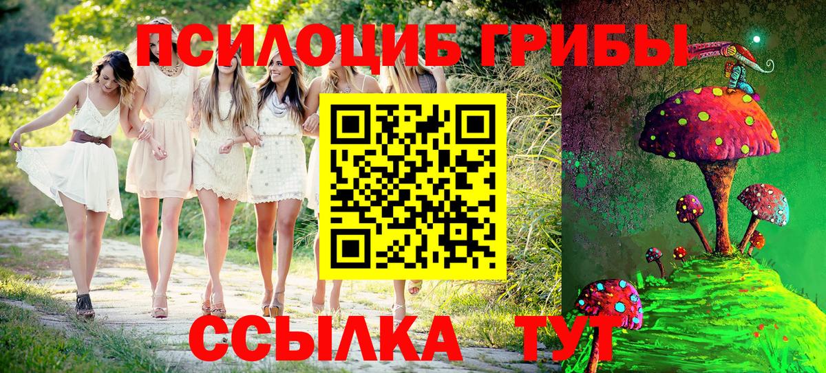 Галлюциногенные грибы Magic Shrooms Тимашёвск